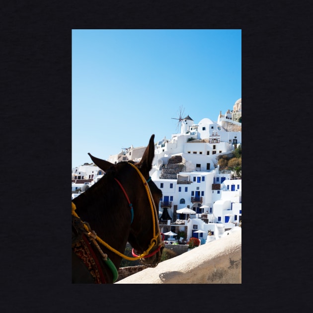 Donkey's View Of Oia, Santorini by tommysphotos